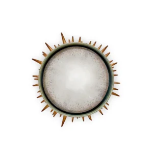 Celestial Convex Mirror Green + Gold Medium