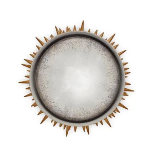 Celestial Convex Mirror in Grey & Gold Large