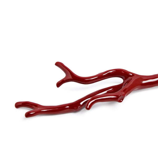 CORAL MAGNIFIYING GLASS