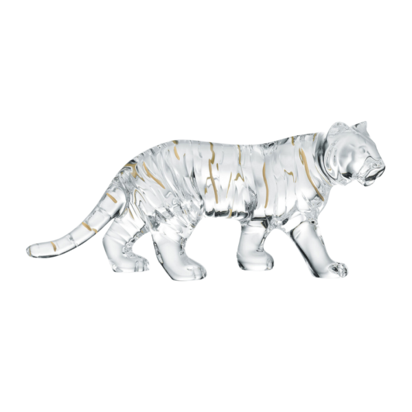 Zodiaque Tiger 2022