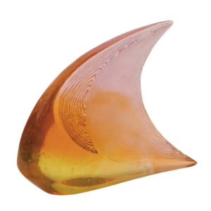 Small Orange Pink Fish