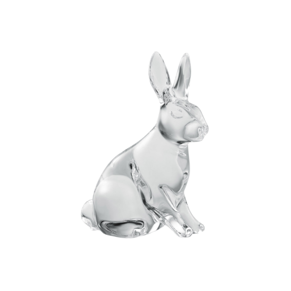 Clear Rabbit 2023