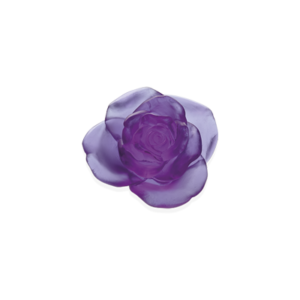 Ultraviolet Decorative Flower Rose Passion