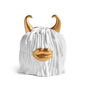 Haas Lynda Box + Plates (Set of 4) - White