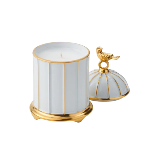 Birdcage Candle