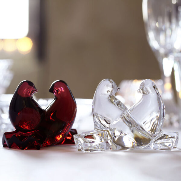 SAINT-VALENTIN COLOMBES DOVES