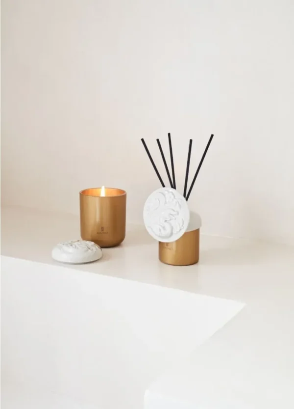 Dragon perfume diffuser - Redwood fire