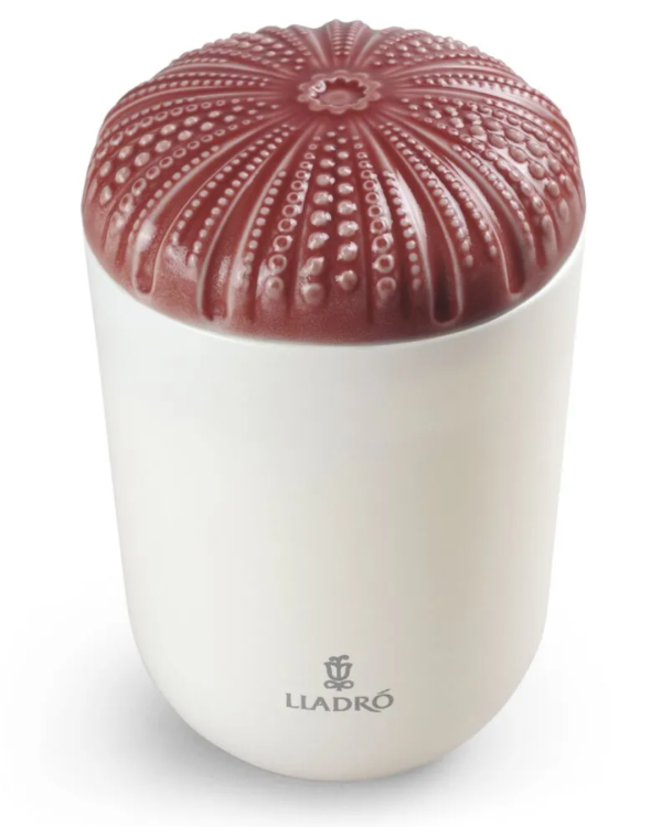 Echoes of Nature Candle. Mediterranean Beach