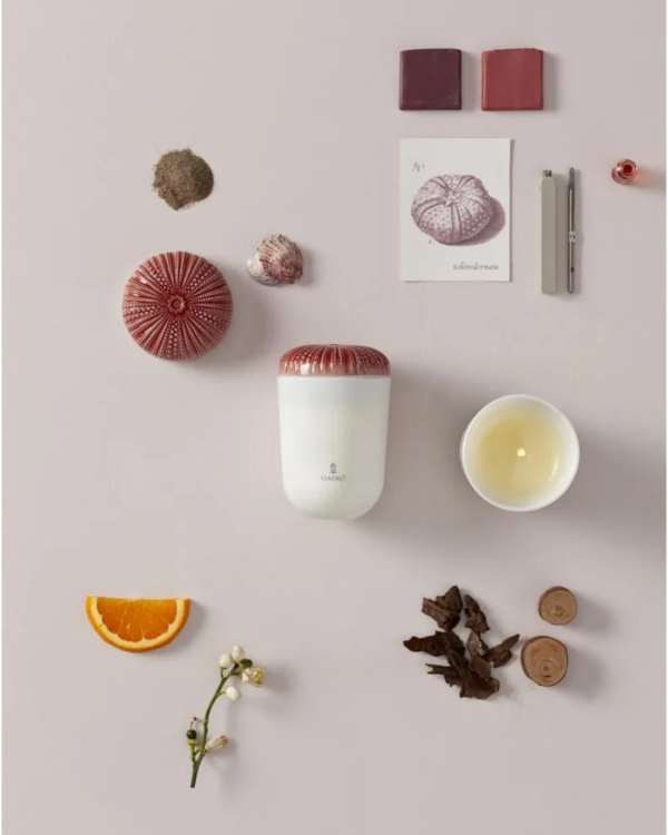 Echoes of Nature Candle. Mediterranean Beach