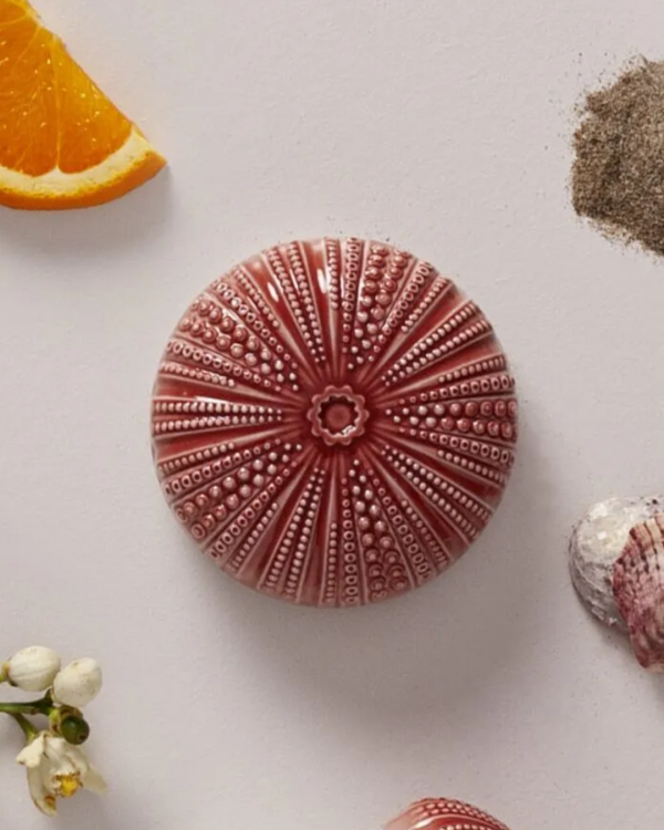 Echoes of Nature Candle. Mediterranean Beach