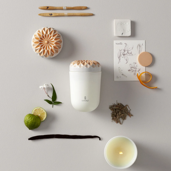 ECHOES OF N. CANDLE-GARDENS OF VALENCIA